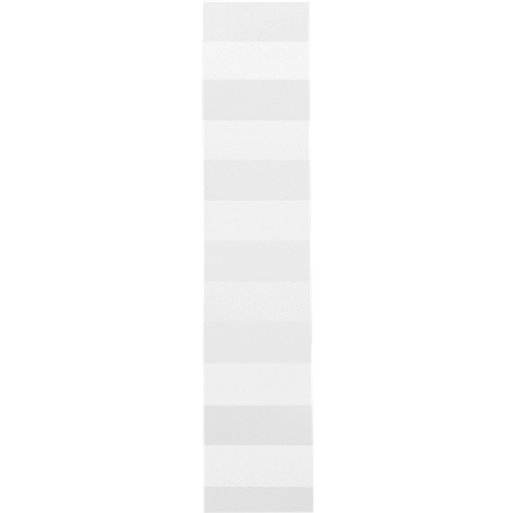 EICHNER Einsteckkarten, für Vollsichtreiter, 100 Stück